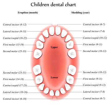 Frequently Asked Questions - Milky Whites - Dental Home For Kids